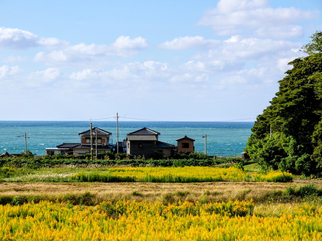Niigata landscape