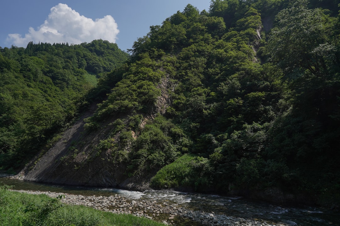 Niigata landscape